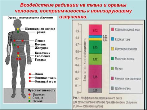 Воздействие температуры на органы