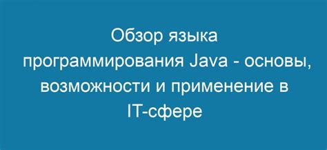 Возможности для старшеклассников в сфере программирования