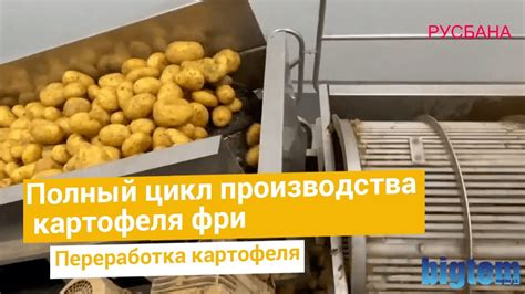 Возможности кремации и заморозки