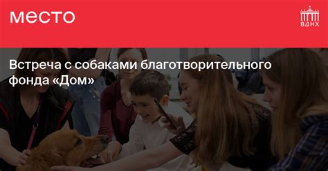 Возможности посещения ВДНХ с собаками