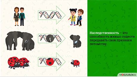 Возможность изменить наследственность в обществознании