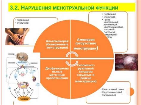 Возможность нарушения менструального цикла