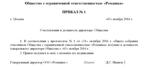 Возможно ли назначение директора ИП с полными полномочиями?