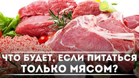 Возможно ли питаться только мясом