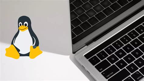 Возможно ли установить Linux на MacBook?