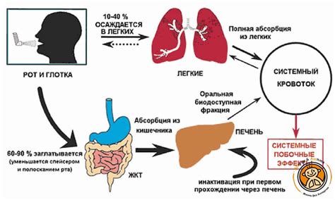 Возможные побочные эффекты безникотиновых жидкостей исследованиями доказаны