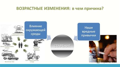 Возрастные изменения и влияние окружающей среды