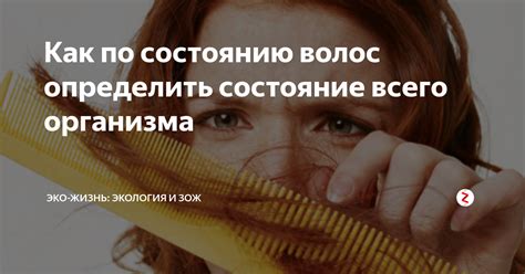 Волосы и шерсть: может ли состояние волос определить возраст