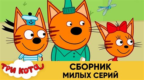 Воплощение милых черт кота