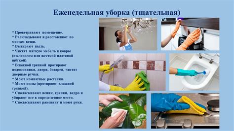 Вопросы безопасности и гигиены при начистке картошки