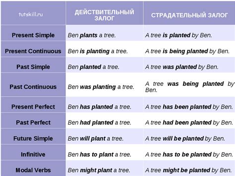 Вопросы с глаголами "to be": формы и примеры