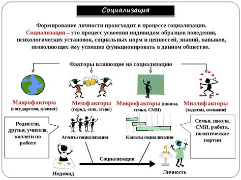 Воспитание и социализация: ключевые моменты