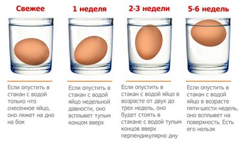 Вращение: как проверить свежесть яйца, вращая его вокруг оси