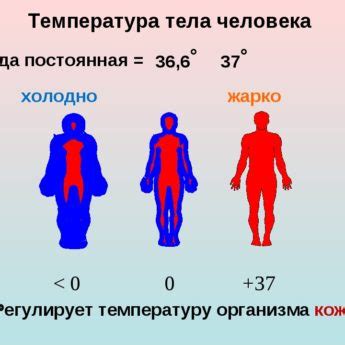 Вредно ли бодрствование при повышенной температуре?