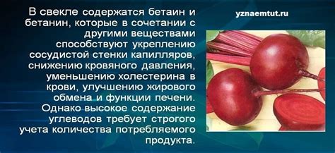 Вредные свойства красной свеклы для кур