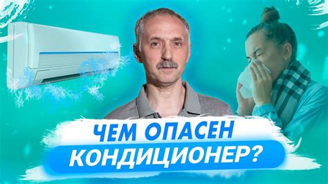 Вред для собаки при использовании человеческого кондиционера