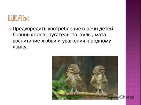 Вред и польза употребления ругательств в повседневной речи