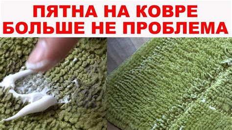 Вред и проблемы плесени на ковре