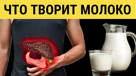 Вред молока для организма