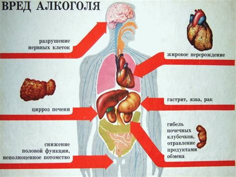 Вред от постоянной подсветки