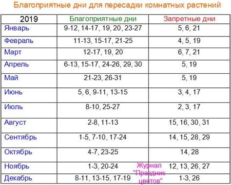 Время года для пересадки