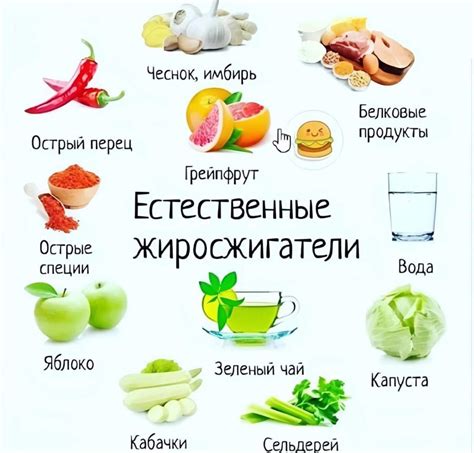 Все о жиросжигающих продуктах: что есть и под какими условиями