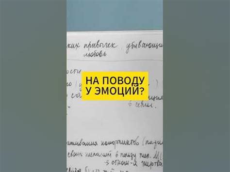 Встреча с ним: что делать после, чтобы не пойти на поводу у эмоций?