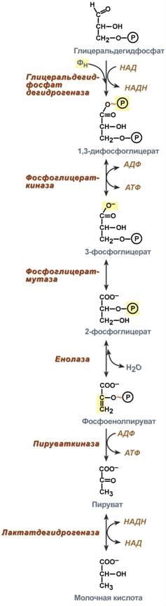 Второй этап: изготовление самого сенника