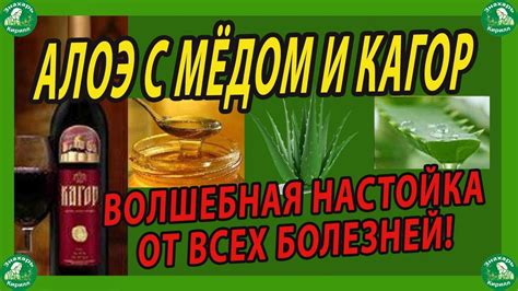 Выбор ингредиентов для приготовления меда с кагором и алоэ