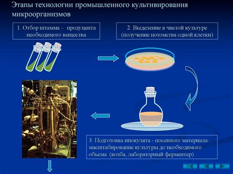 Выбор источника эссенций