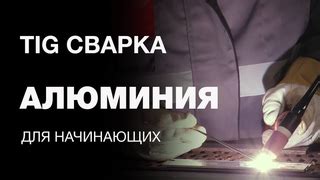 Выбор и настройка отпугивателя