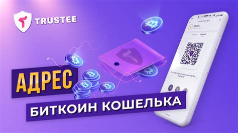 Выбор и установка биткоин кошелька