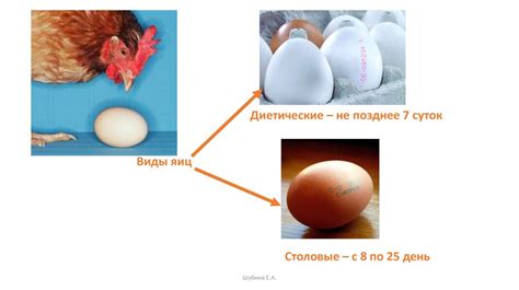 Выбор муки и подготовка яиц