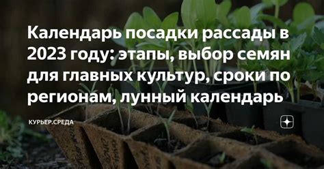 Выбор оптимального времени для посадки растений