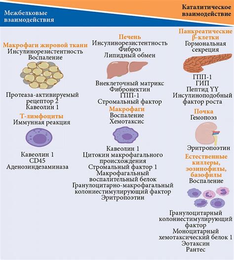 Выбор оптимального препарата