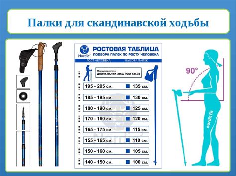 Выбор палок для ходьбы дома