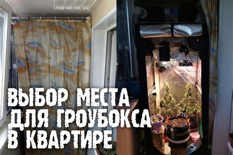 Выбор подходящего места в квартире