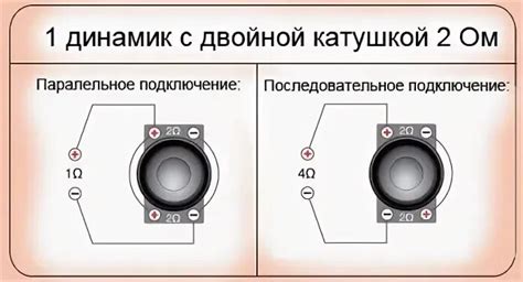 Выбор подходящего сабвуфера с 2 катушками