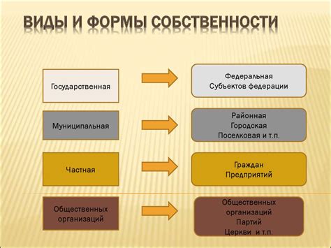 Выбор подходящей формы собственности