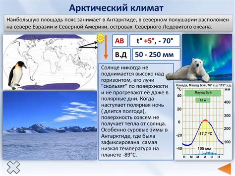 Выпадение осадков в арктическом поясе