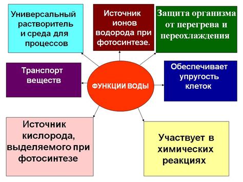 Выполнение функций в организме