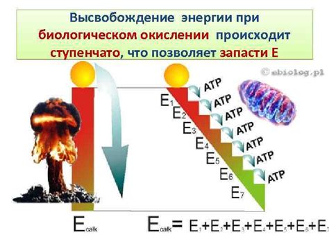 Высвобождение энергии