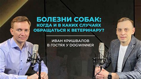 В каких случаях обращаться к фикс-прайсу