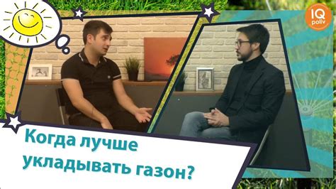 В какое время года подкормить газон?