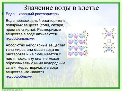 В чем заключается роль соды