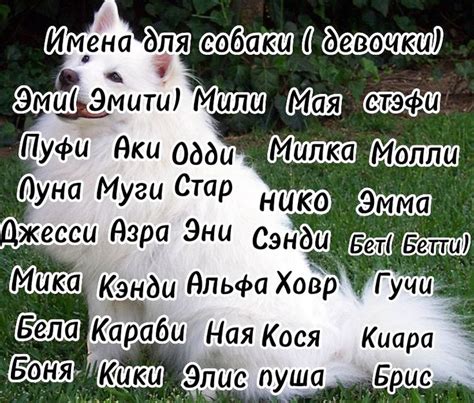 Гвиневра – выберите это уникальное имя для девочки, и она станет настоящей волшебной феей