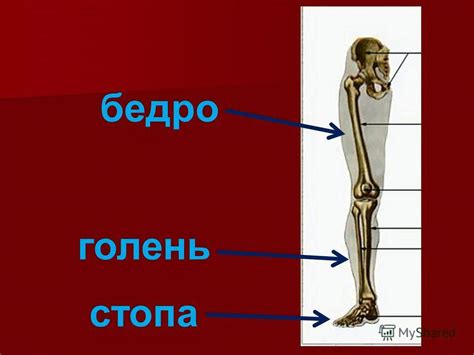 Где находится банк Совкомбанк у метро Аннино