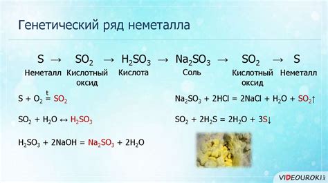 Генетическая равнозначность