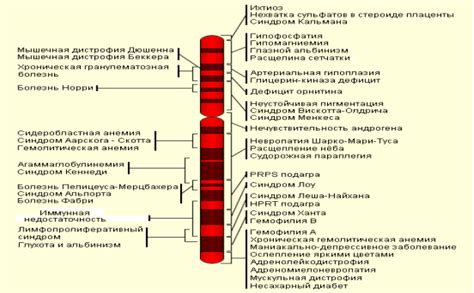 Генетические изменения в современном мире