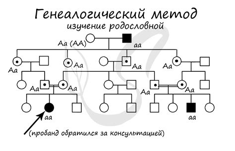 Генетические предрасположенности породы